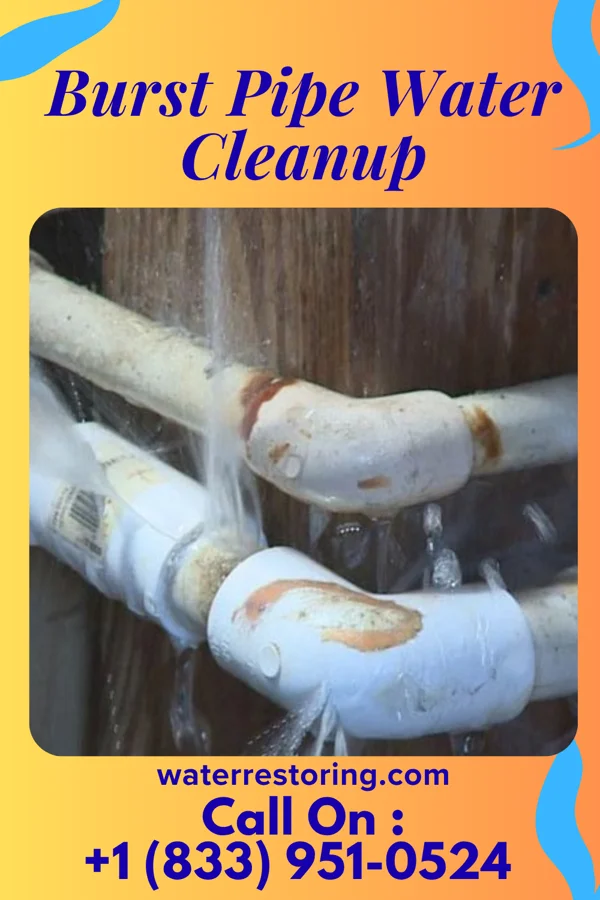 Burst Pipe Water Cleanup in Hundred, WV