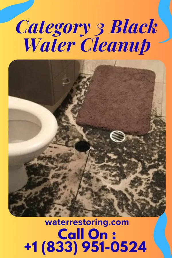 Category 3 Black Water Cleanup in Hundred, WV