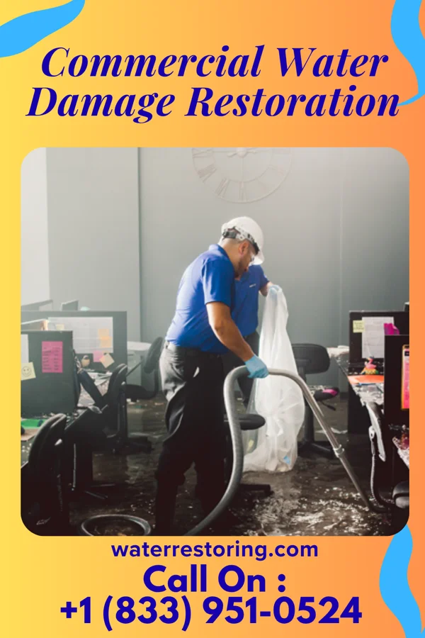 Commercial Water Damage Restoration in Hundred, WV