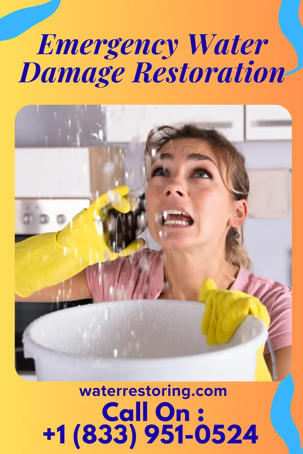 Emergency Water Damage Restoration in Hundred, WV
