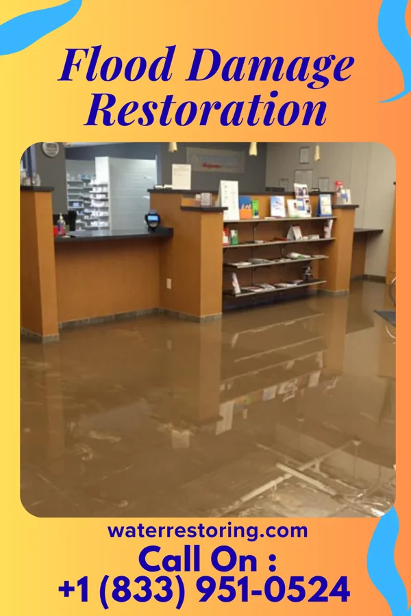 Flood Damage Restoration in Hundred, WV
