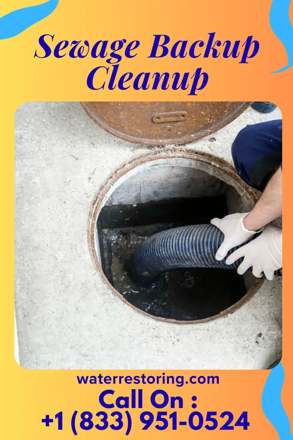 Sewage Backup Cleanup in Hundred, WV