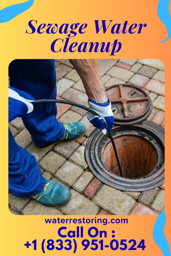 Sewage Water Cleanup in Hundred, WV