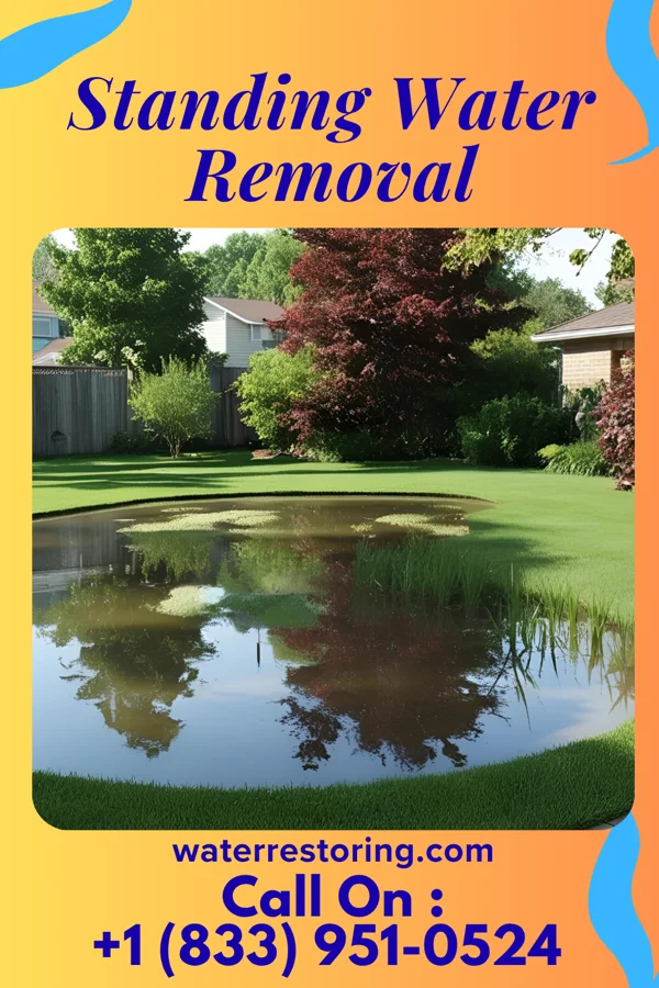 Standing Water Removal in Hundred, WV
